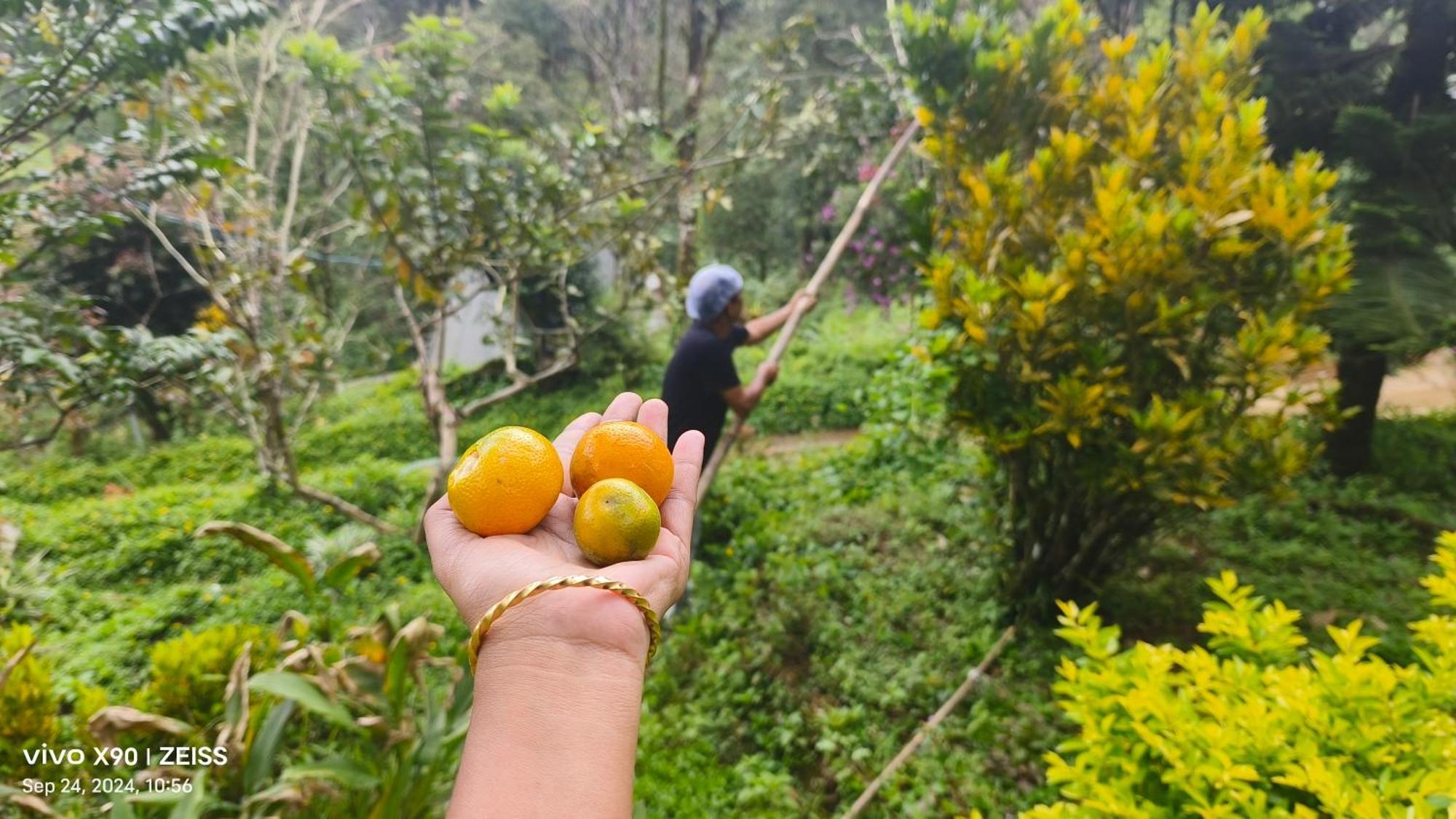 Forestscape Resort Munnar Luaran gambar