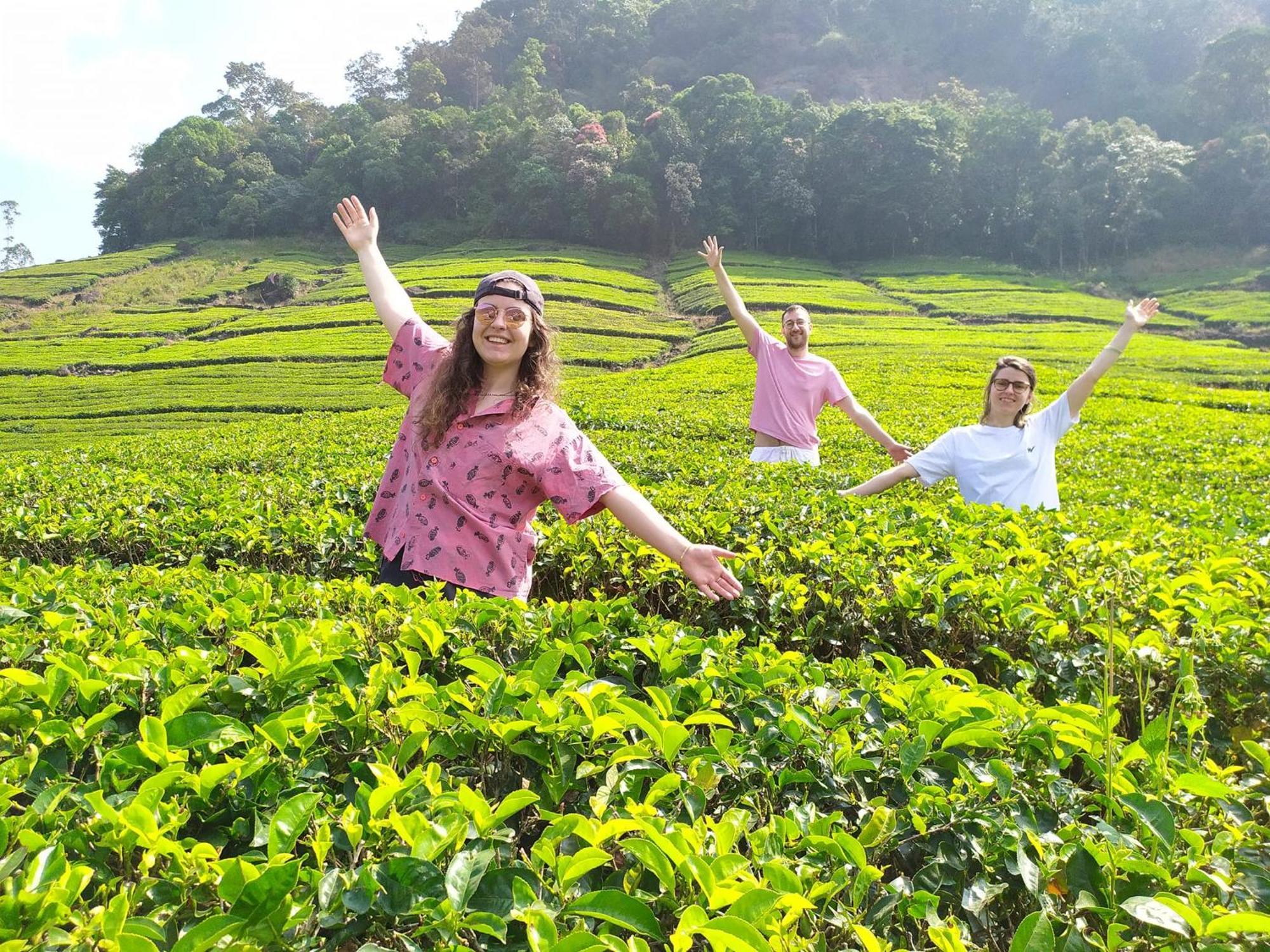 Forestscape Resort Munnar Luaran gambar