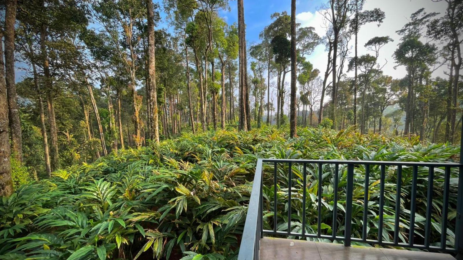 Forestscape Resort Munnar Luaran gambar