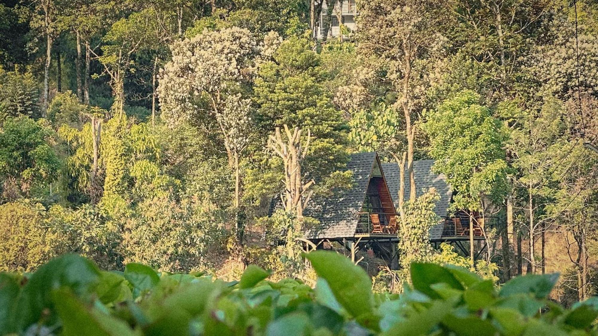 Forestscape Resort Munnar Luaran gambar