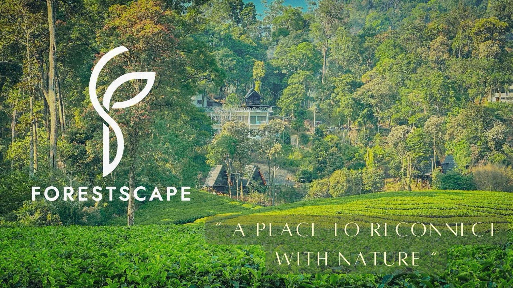Forestscape Resort Munnar Luaran gambar